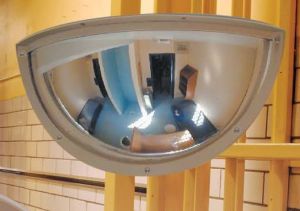 Vandaalbestendige Kogelspiegel 180 graden met stalen frame (SKG gecertificeerd)