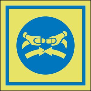 Veiligheidsgordels verplicht 150 x 150 mm